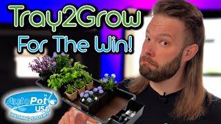 Autopot Tray2Grow | Easy Set Up and 5 BEST Techniques