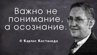 Интересные высказывания Карлоса Кастанеды. Цитаты и афоризмы