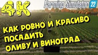 Farming Simulator 22 - ПОСАДКА ОЛИВЫ И ВИНОГРАДА #ЯйкиДеньгиЗаматай