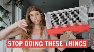 7 Hamster Cage Mistakes 