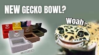 3.0 Geckopia Triple Dish Product Review | GECKOPIA