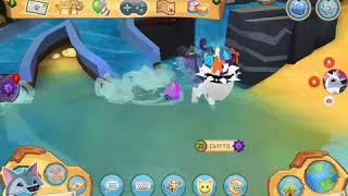 Клип Animal jam clean solo