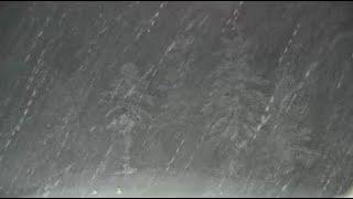 Lots of snow coming down in the Cascades as seen from the Mt. Hood Skibowl cam