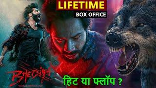 Bhediya Lifetime Worldwide Box Office Collection, Bhediya Budget & Verdict Hit or Flop