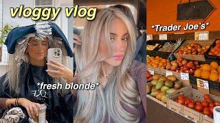VLOG: getting my hair done, Trader Joe's, and unboxing pr | Samantha Nicole