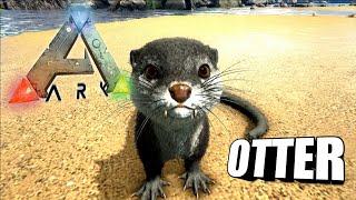 Taming A Otter | Ark Survival Evolved | The Island