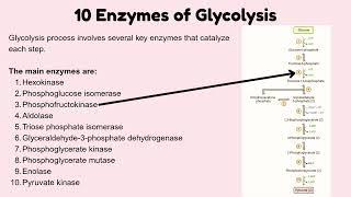 10 Enzymes of Glycolysis Explained | Step-by-Step Biochemistry for Medical Students