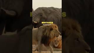 Attitude - Lion King - Learn From Your Mistakes   #shorts #motivation  #status #lionking