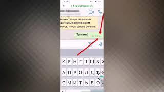 ЧТО ОЗНАЧАЮТ ГАЛОЧКИ В ВОТС АПП Whats App