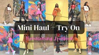 Mini Haul + Try On || FASHION NOVA || Homecoming Lookbook || DaBraeWay ఌ