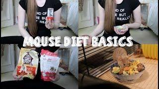 MOUSE DIET BASICS