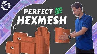 How to create Structured Hexmesh - Hypermesh Tutorial [4 STEPS]