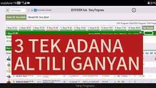 12 Kasım 2024 Salı Adana at yarışı tahminleri Adana altılı ganyan tahminleri | Oğulcan Karaca