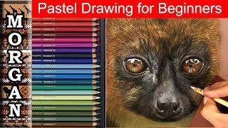 Pastel Drawing for Beginners : Wildlife art techniques : Jason Morgan