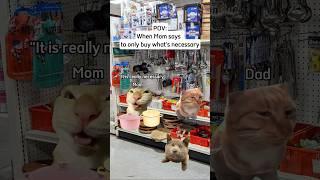 When Mom says to only buy what's necessary #shorts #catmemes #relatable #funny #funnyvideo