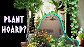 Plant Hoarding??