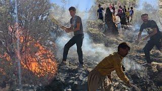 Flames Over the Highlands: A Nomadic Family’s Trial"