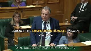 Shane Jones: Māori are not in jail because of colonisation.