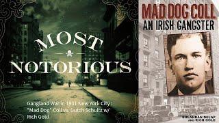 Gangland War in 1931 New York City : "Mad Dog" Coll vs. Dutch Schultz w/ Rich Gold