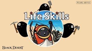 Black Desert Life Skills