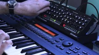 Roland SE-02 - XMOD-A (Crossmod) Demo - Mike Pensini