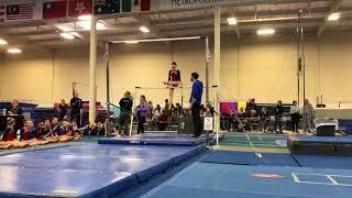 USAG Level 3 Bar