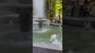 НАМАНГАН УЗБЕКИСТАН , ФАНТАН МОЛОДОСТИ , УЗБЕКИ ПРИЕЗЖАЮТ СЮДА ЧТОБЫ СДЕ… #узбекистан #индия #гоа