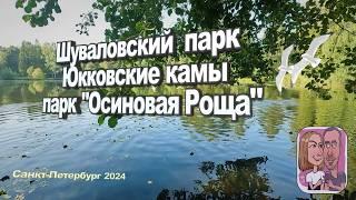  Всего минут 30 от города (на севере СПБ). Эпизод #3