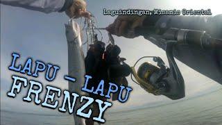 Ultralight Fishing | Lapu - Lapu Frenzy | Mabibisang lures para sa Lapu - lapu