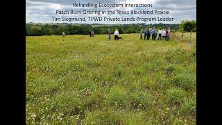 Wildlife Diversity Webinar Series | Recovering Blackland Prairie in Ellis County