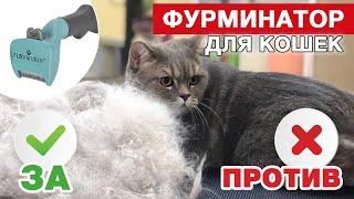 Фурминатор для кошек - линька, мифы и запреты, вред для здоровья