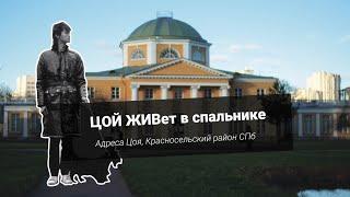 ЦОЙ ЖИВет в спальнике. Адреса Цоя, Красносельский район СПб