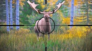 Hunting GIGANTIC Moose in Hunting Simulator 2