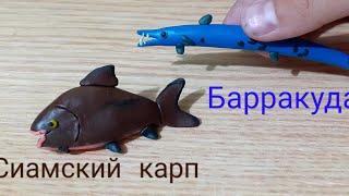 Лепим барракуду и сиамского карпа.