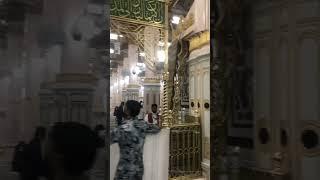 Mohammad is my heart ️
