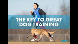 THE KEY TO GREAT DOG TRAINING || 2-Time World Champion Ivan Balabanov shares the key to his success!