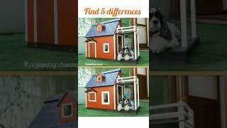 Spot 5 differences #221 #H.u.gaming channel #challenge #shorts #trending #vairalshort