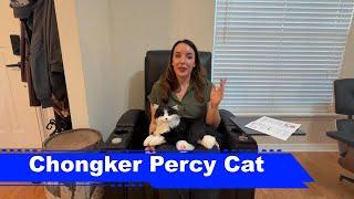 Best Gift for Seniors: Chongker Interactive Robot Cat Stuffed Animal Percy!