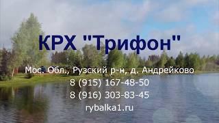 КРХ "Трифон". Видео отчет о рыбалке за 2 июня 2018