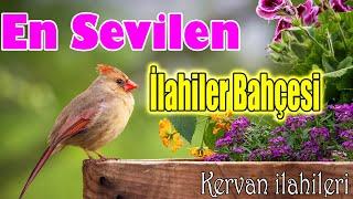 En Güzel İlahiler KervanıKarışık İlahilerHuzur Veren İlahilerYeni Çıkan İlahilerİlahi Dinle