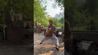 daily 🩶part 2 #kungfu #wushu #shaolin #china #motivation
