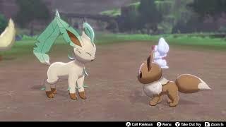 Eevee and Leafeon are Best Friends!