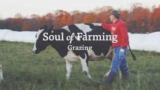 Organic Grazing | Kevin Mahalko | Organic Valley Farmers