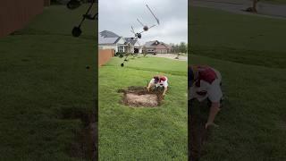 Fixing a Bare Spot in the Lawn