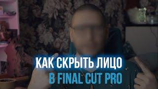 Как скрыть лицо (номер авто) Final Cut pro