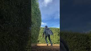 have you gone in a maze before?#teen #viral #vlog #shorts #short