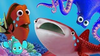  Full Color Coded Finding Dory Color Mix Up 