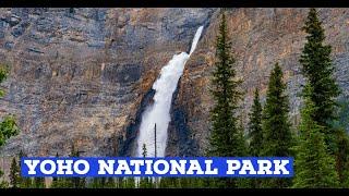 Top 3 Sights at Yoho National Park | Takakkaw Falls | Emerald Lake | Natural Bridge