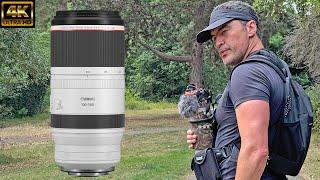 Canon 100-500mm Lens? Or Keep My 200-800mm? The Big Question.