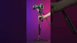 NEEWER 179cm GM76 Professional Camera Monopod With Fluid Head